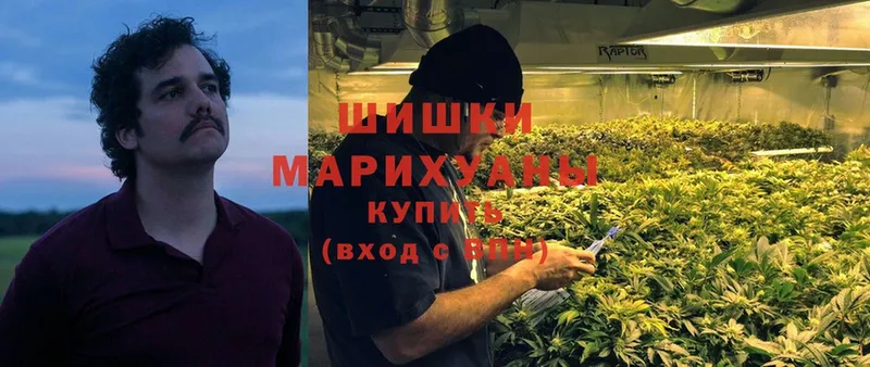 Шишки марихуана THC 21%  Курчалой 